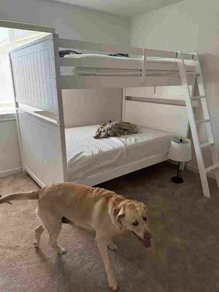 Fully loaded rooms in new house