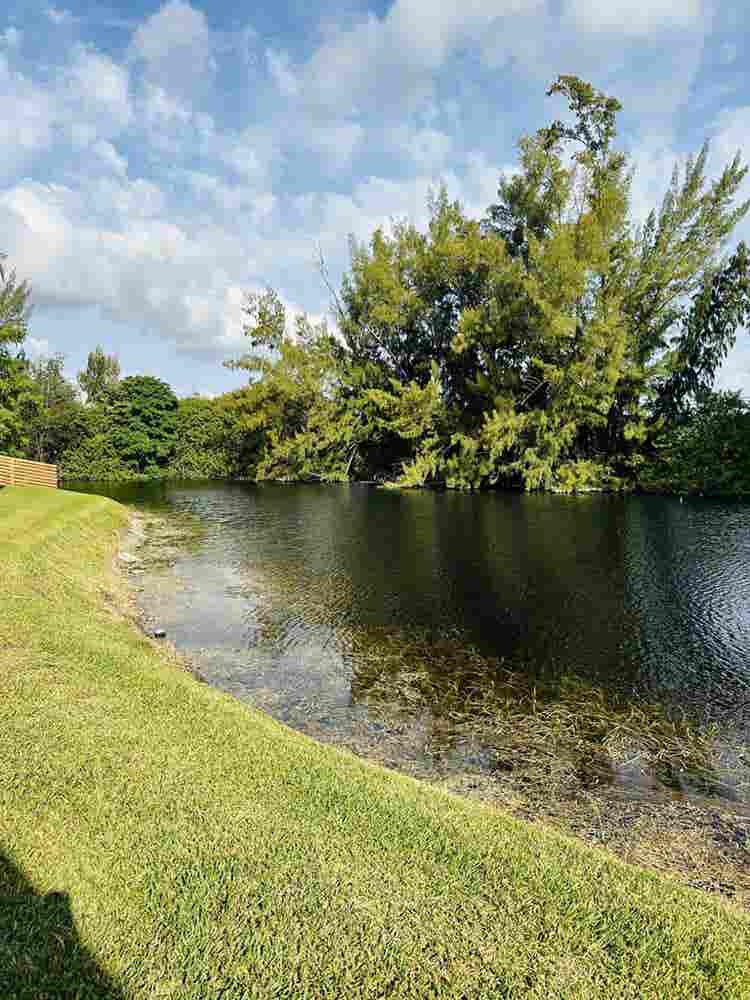 Room for rent in waterfront home