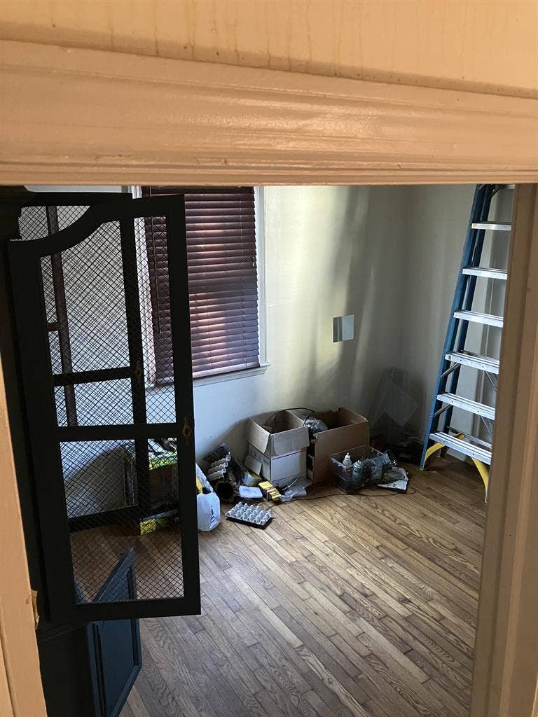 Rm 4 rent. pet friendly &
laid back