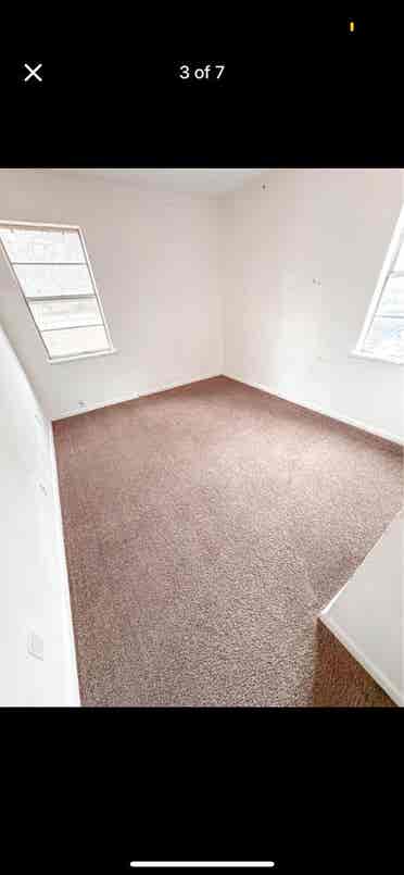 Roommate wanted