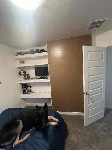 Room to rent