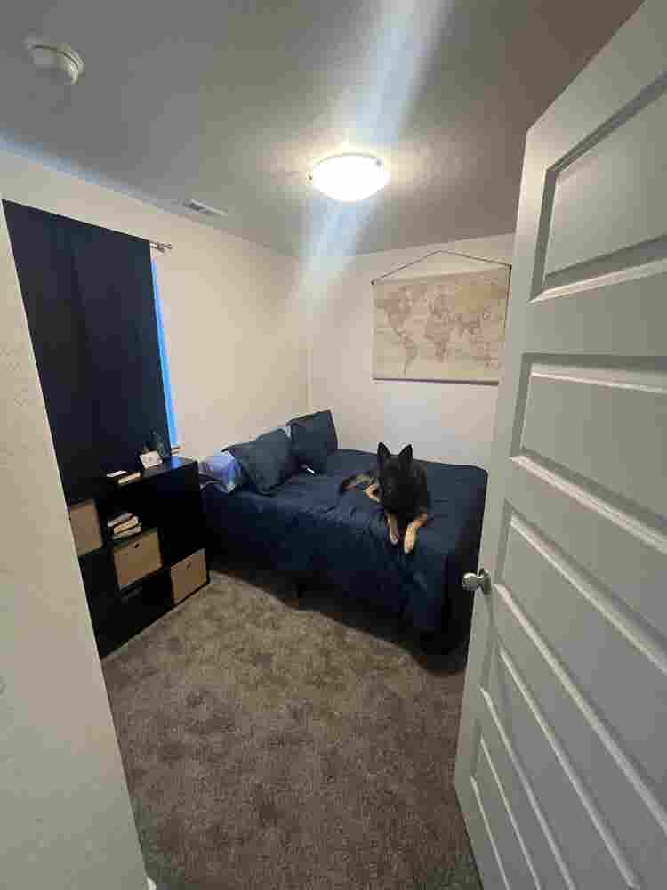 Room to rent