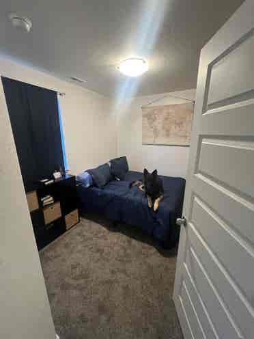 Room to rent