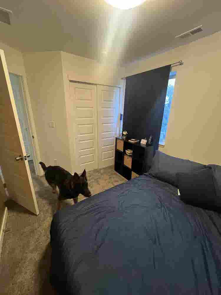 Room to rent