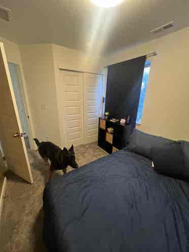 Room to rent