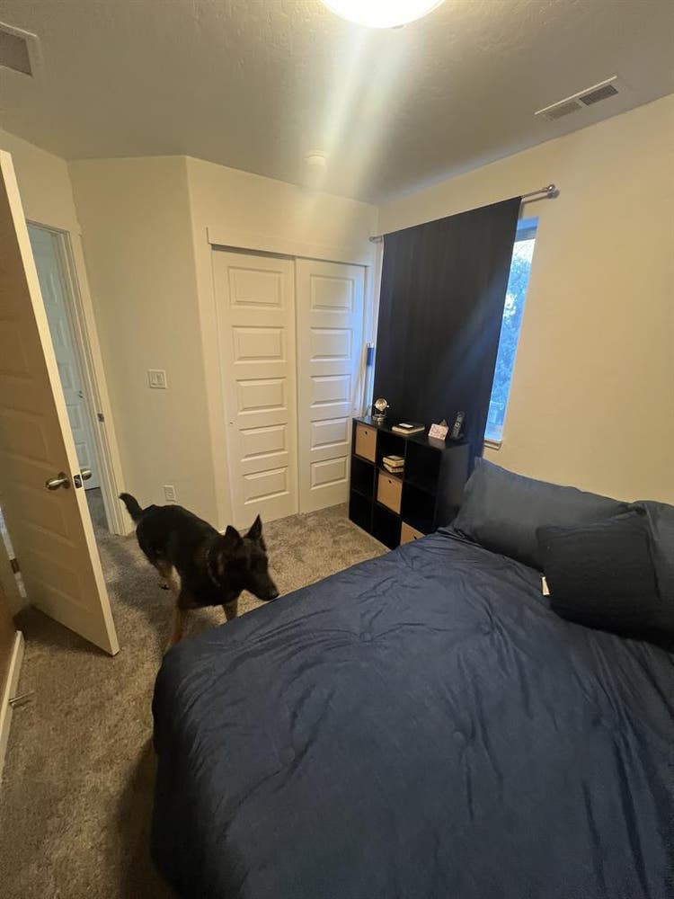 Room to rent