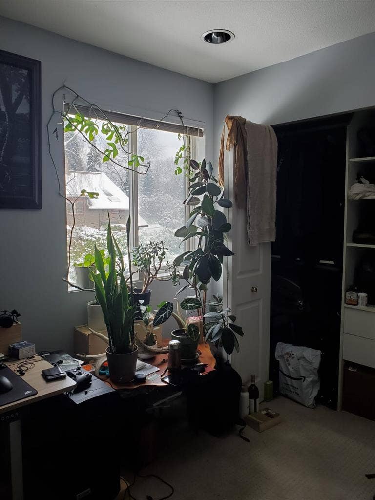 Beautiful Artists home , room avail