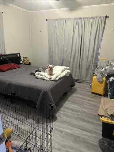 Rooms for Rent