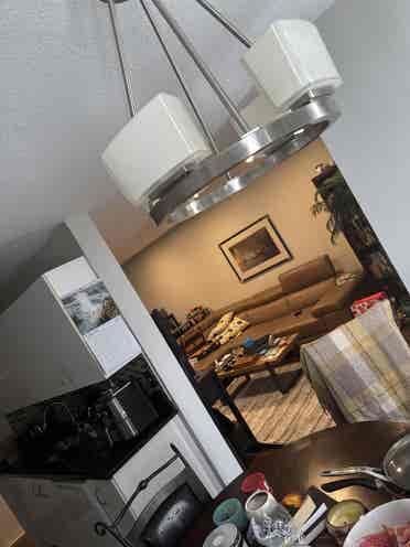 Looking for a roommate!
