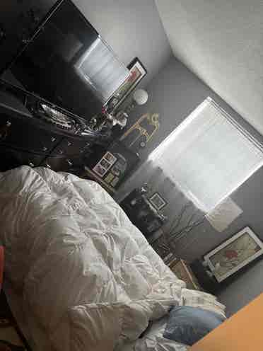 Looking for a roommate!