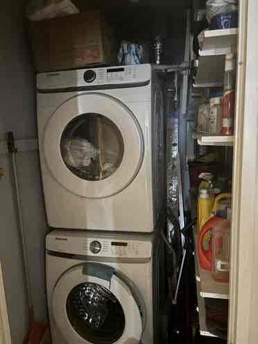 Looking for a roommate!
