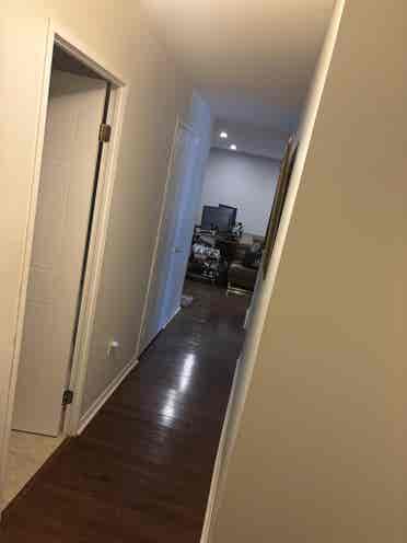 Looking for a roommate!