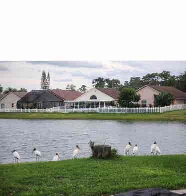 Room for Rent on lakefront
