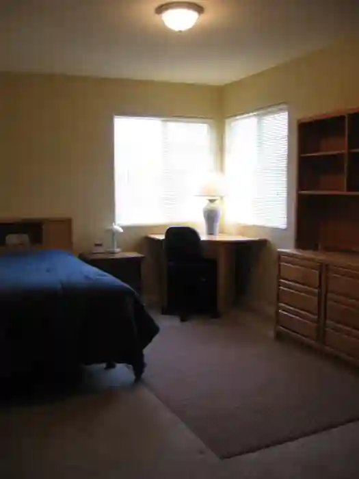 Looking for a roommate