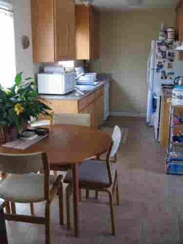 Looking for a male roommate