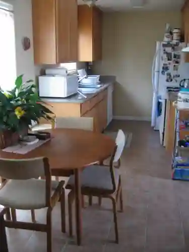 Looking for a roommate