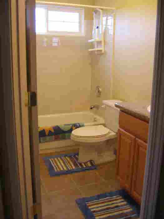 Looking for a male roommate
