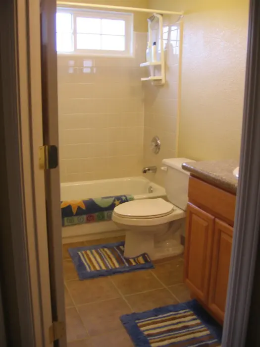 Looking for a roommate