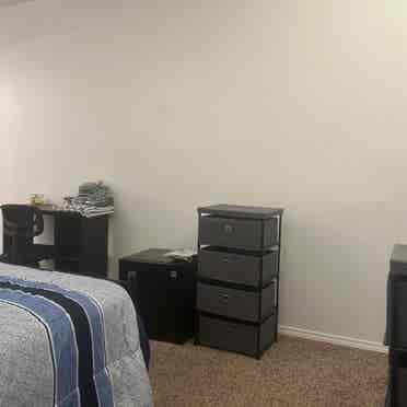 Executive efficiency for rent!