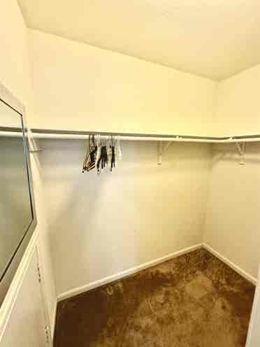 looking for female tenant