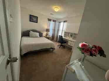 looking for female tenant