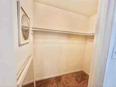 looking for female tenant