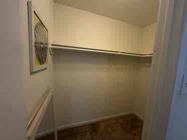 looking for female tenant