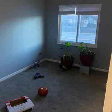 bed room and office shared bath