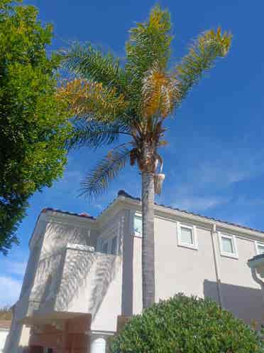 Fancy room for rent in Moorpark.