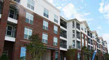 Room Available in Luxury Apartment