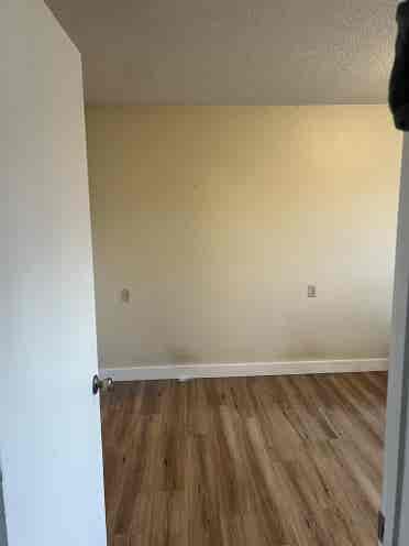 looking for another roommate!