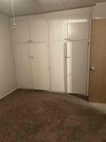 Looking for a Roomate to move in