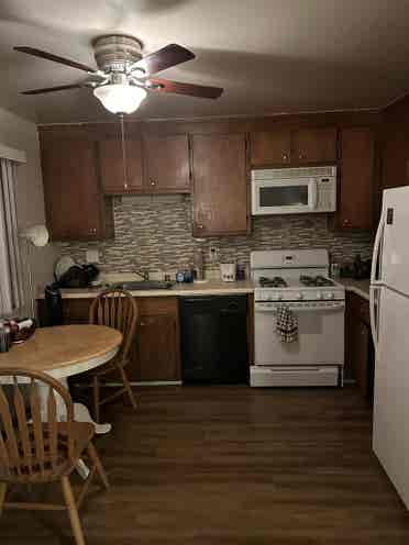 Looking for a Roomate to move in