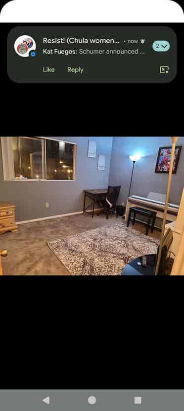 Spacious furnished room for rent