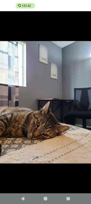 Spacious furnished room for rent
