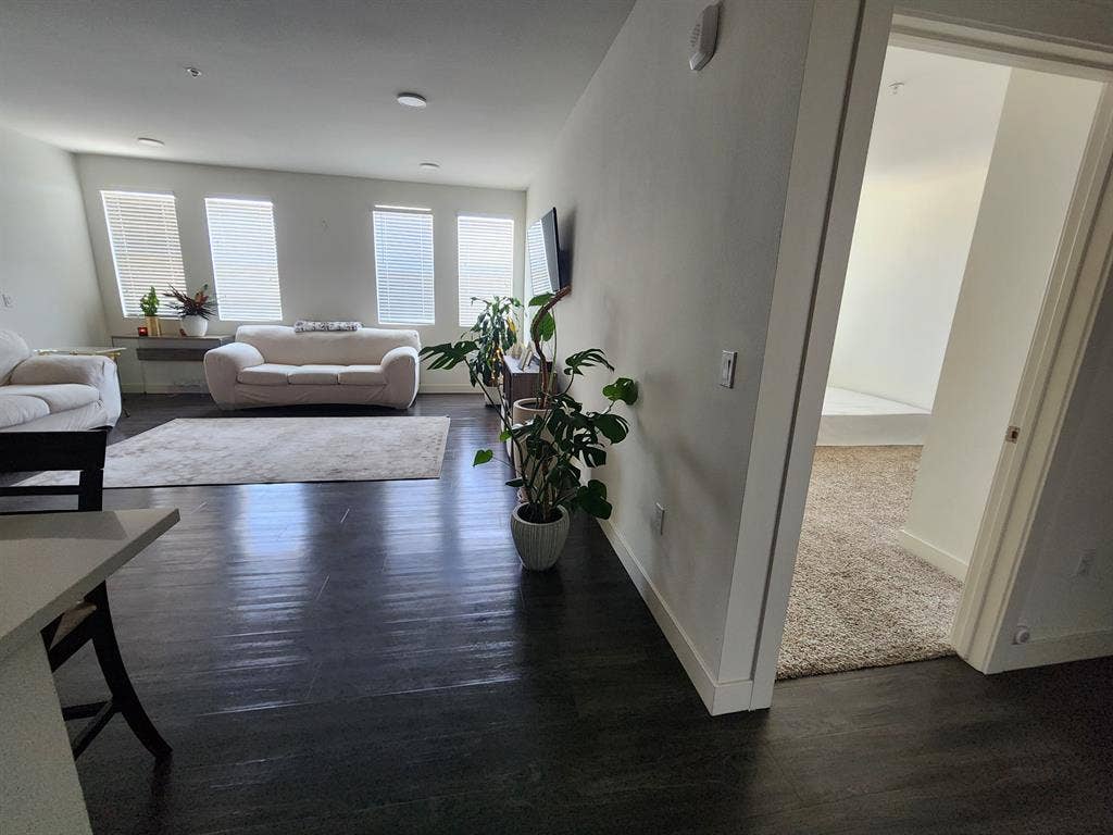 Huge Room, private bath, June 1st