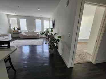 Huge Room, private bath, June 1st