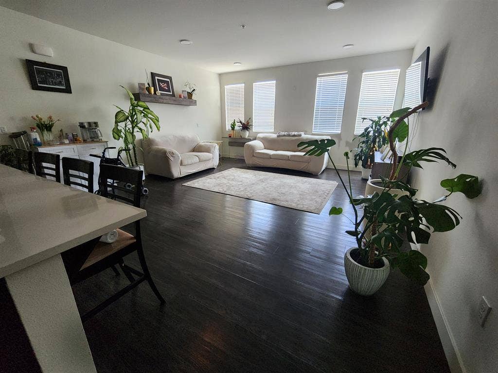 Huge Room, private bath, June 1st