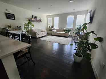 Huge Room, private bath, June 1st