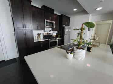 Huge Room, private bath, June 1st