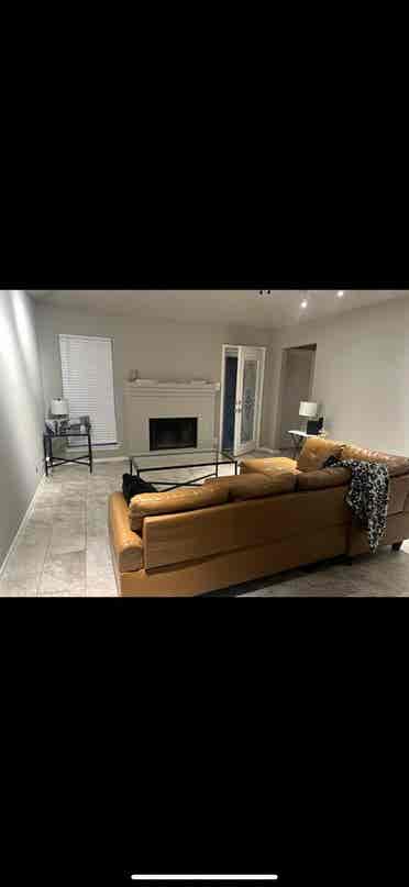 Looking for a roommate!
