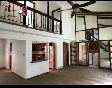 Looking for a roommate
