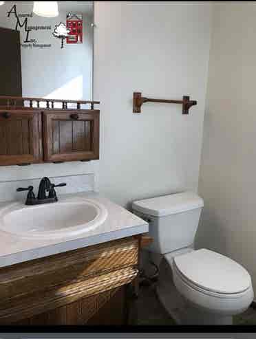 Looking for a roommate