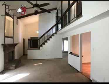 Looking for a roommate