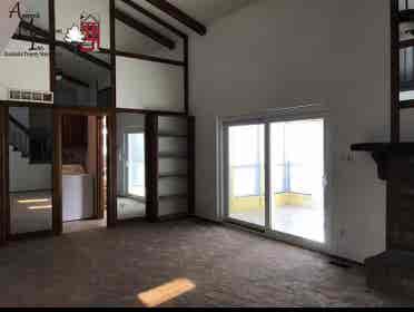 Looking for a roommate