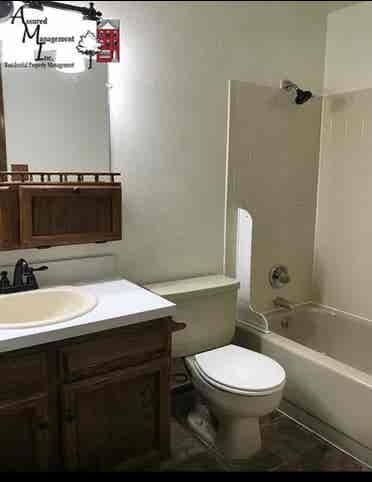 Looking for a roommate