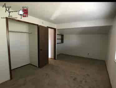 Looking for a roommate
