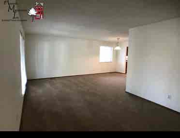 Looking for a roommate