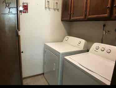 Looking for a roommate