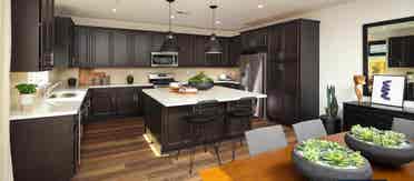 Multiple Rooms for Rent!